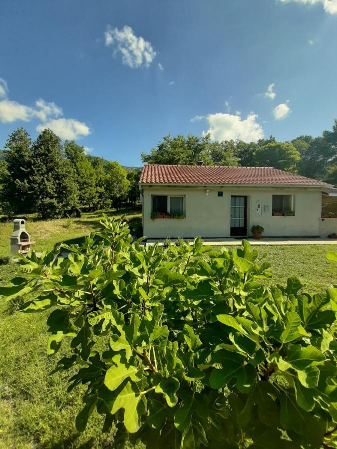 Sara Apartament